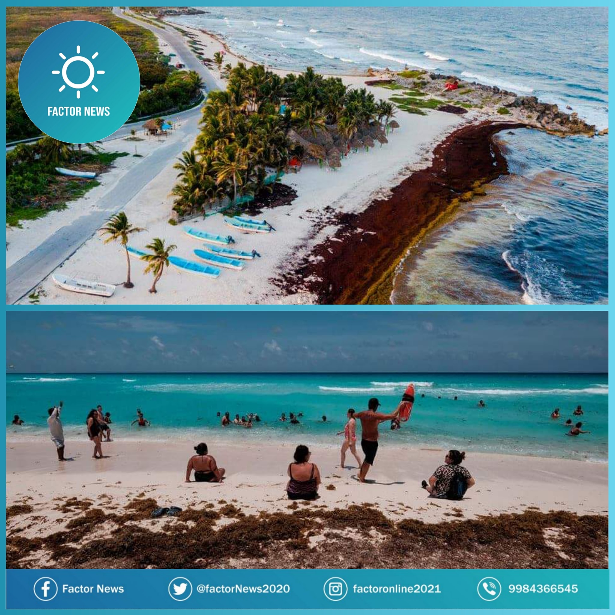 Disminuye presencia de sargazo en 23 por ciento en costas de Quintana Roo.