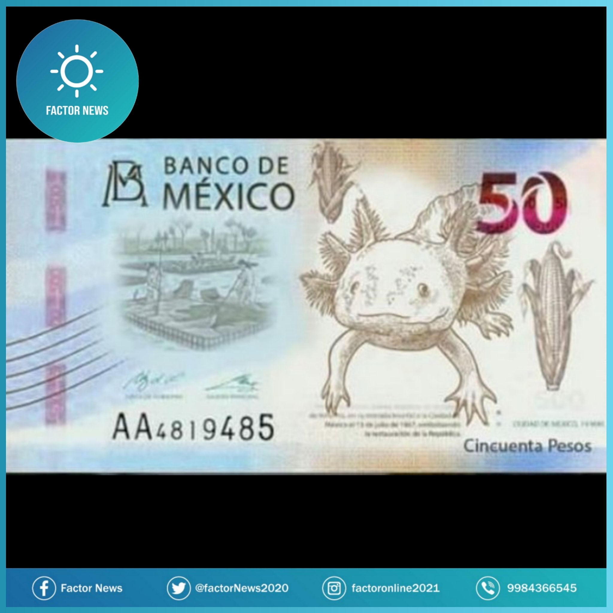 Habrá billete nuevo de 50 pesos informa Banco de México.