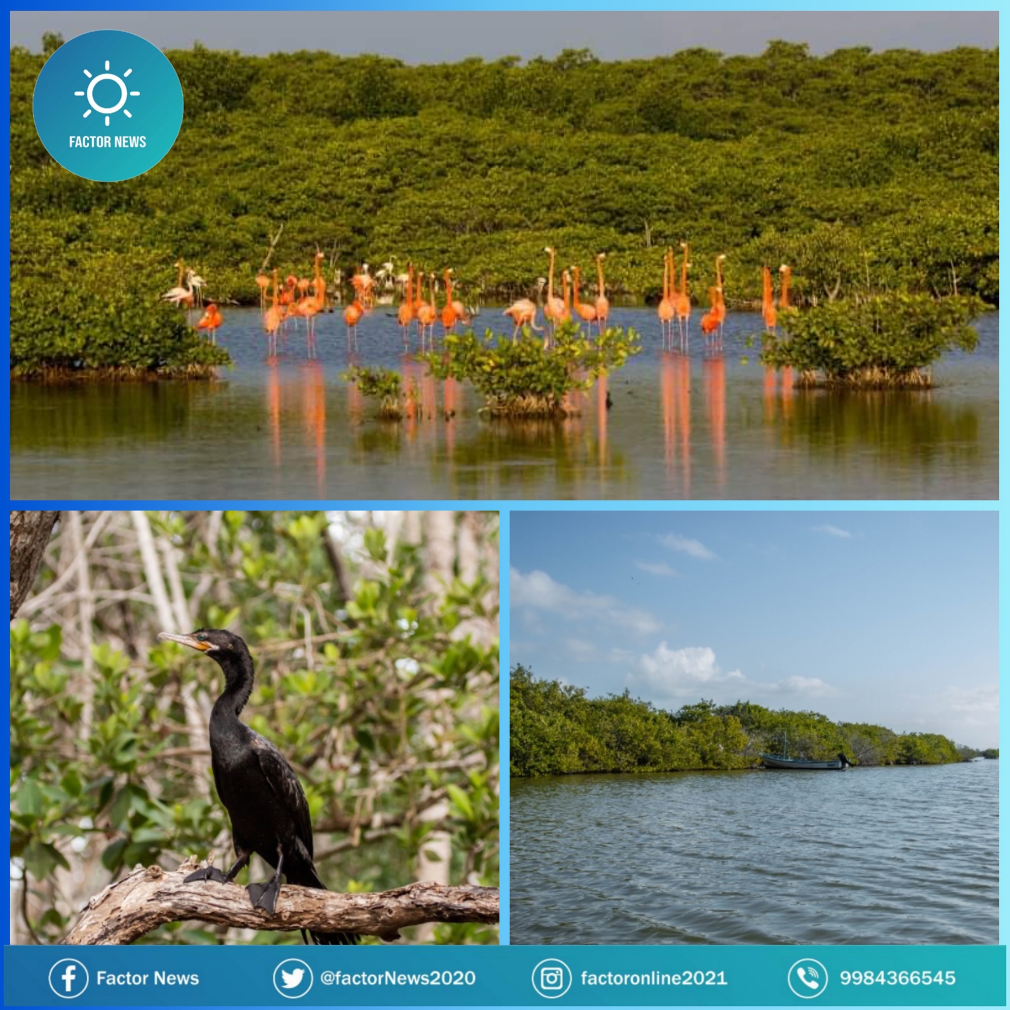Entregan reconocimiento internacional a la reserva Ciénegas y Manglares de la Costa Norte de Yucatán