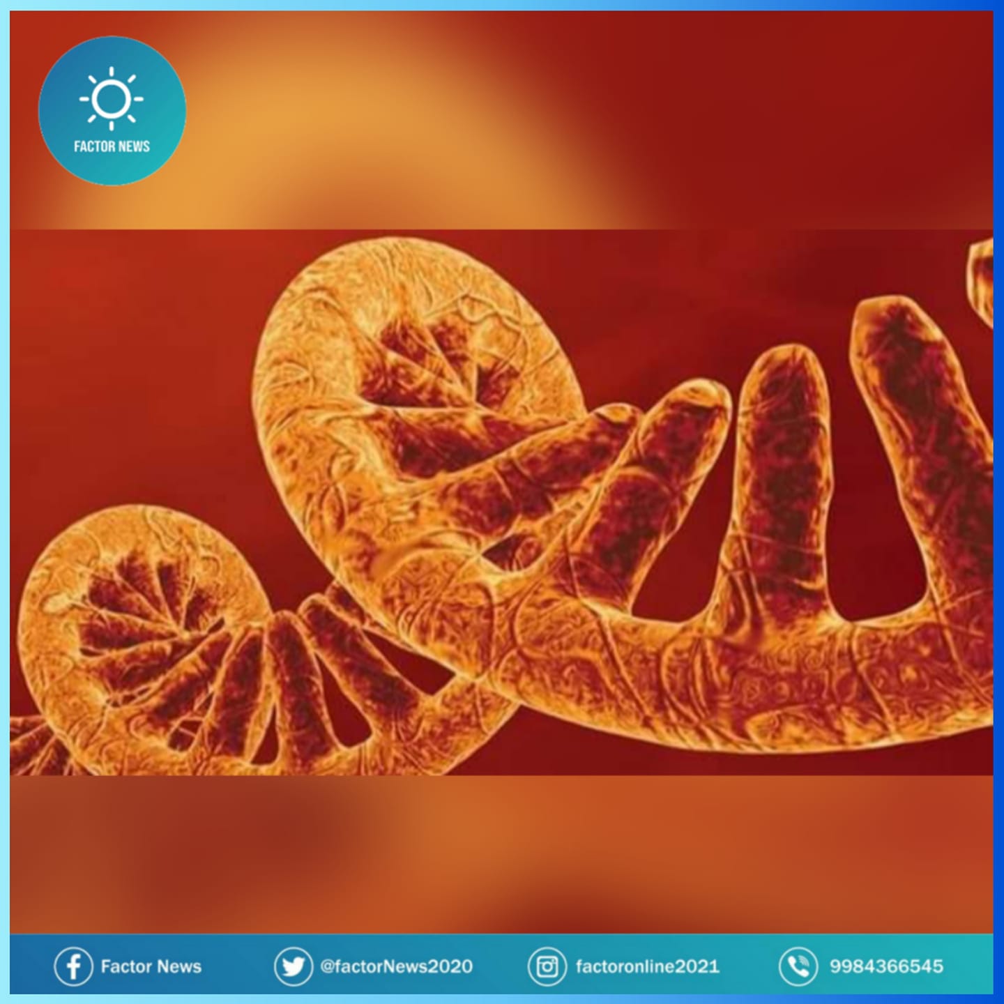 Científicos identifican cromosoma que hace tan singulares a los humanos.