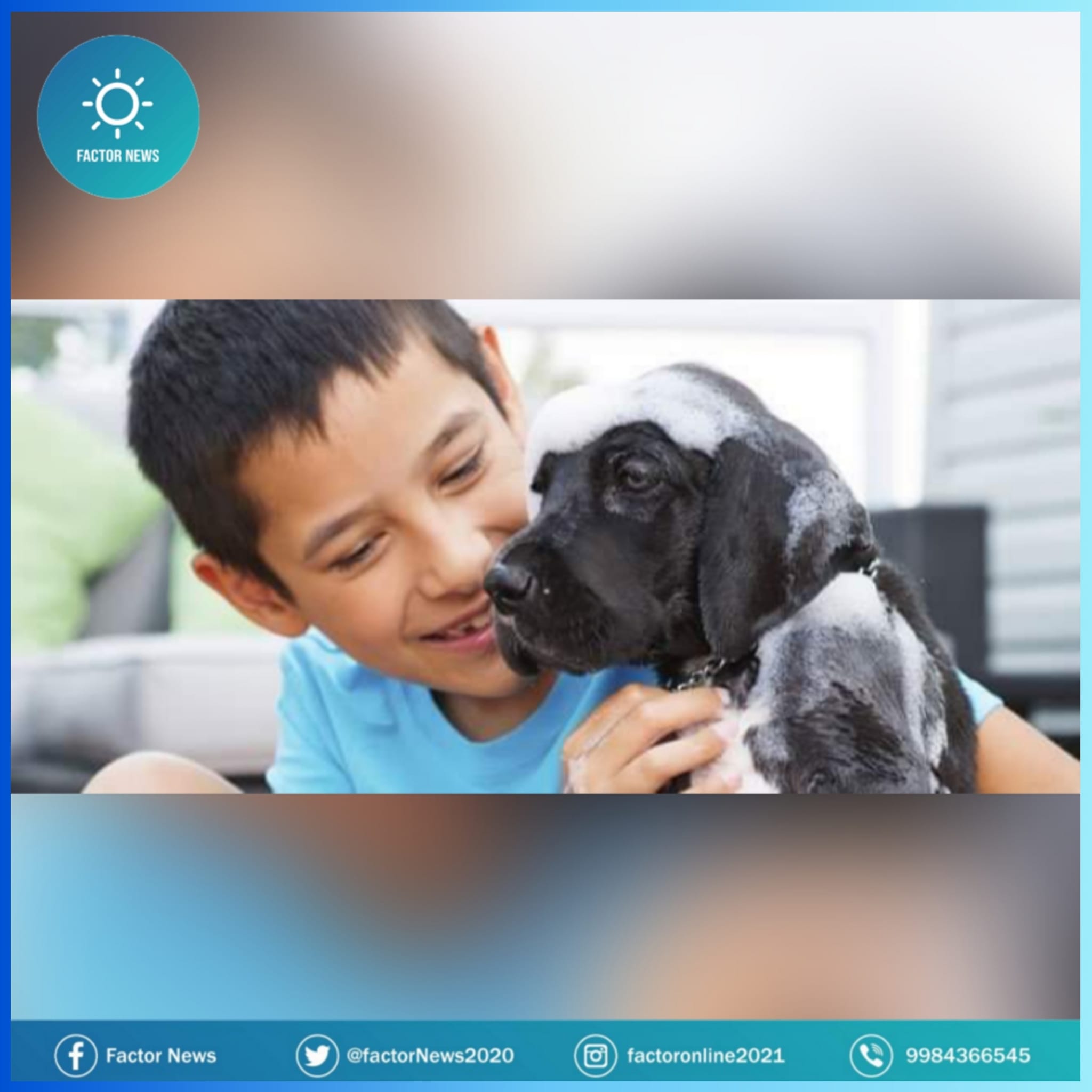 En Yucatán incluirán programas educativos de bienestar animal en las escuelas.
