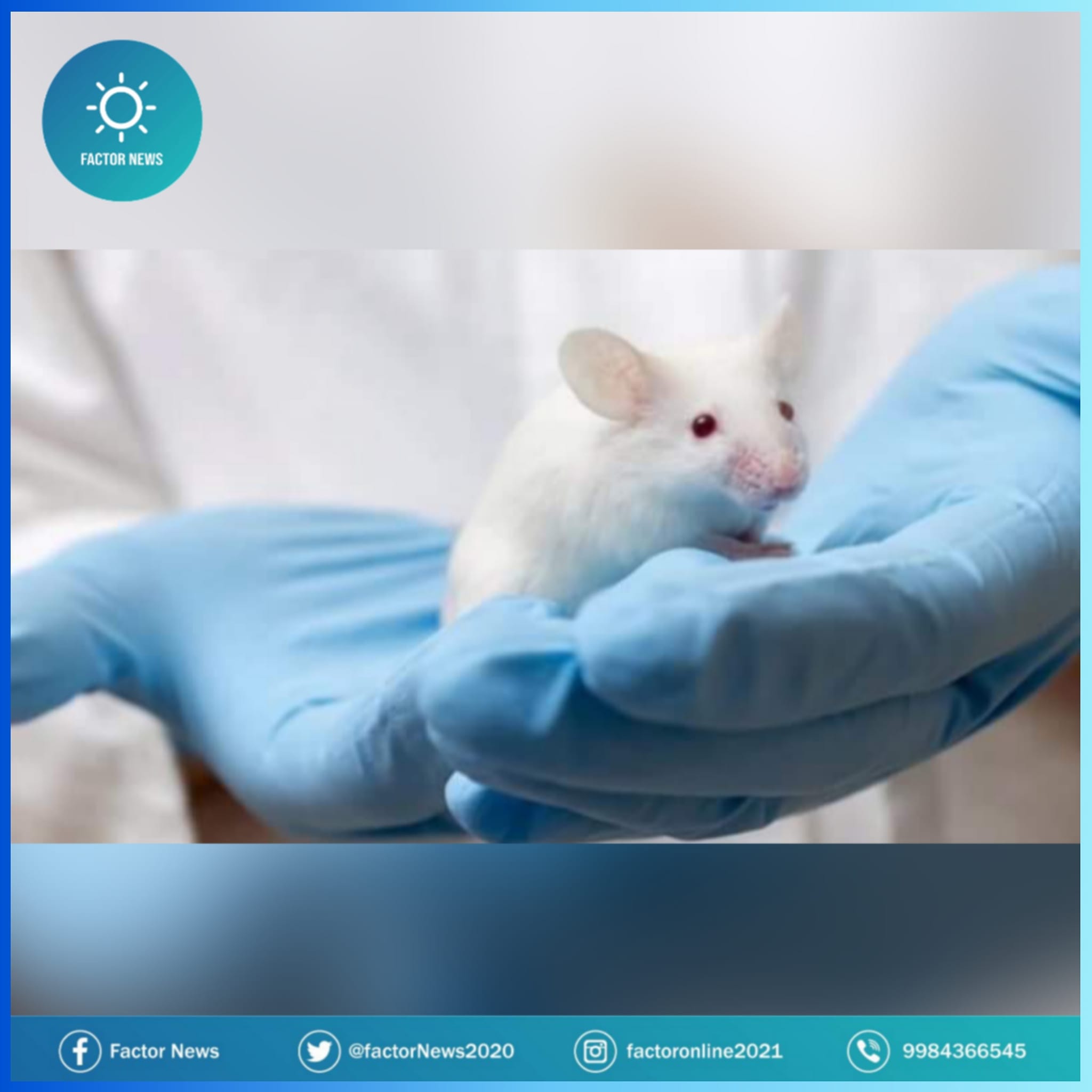 Prueban con éxito en ratones células madre para atacar el glioblastoma.